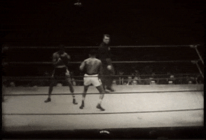Knock Out Fight GIF by US National Archives