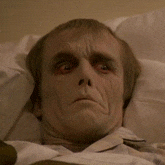 dawn of the dead zombie GIF