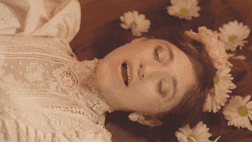 Long Time Coming Flowers GIF by Sierra Ferrell