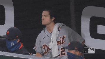 Major League Baseball Applause GIF by Detroit Tigers