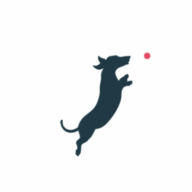 lyonsvh dog pets dachshund veterinarian GIF