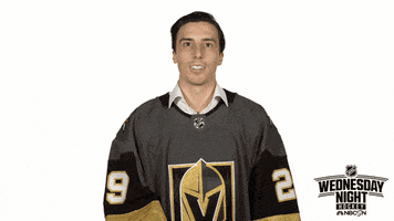 golden knights party GIF by NHL on NBC Sports