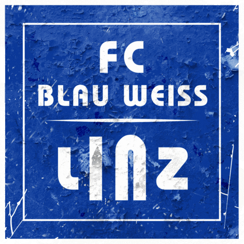 Tor GIF by FC Blau Weiß Linz
