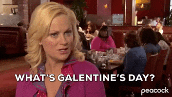 Amy Poehler Friendship GIF by Parks and Recreation