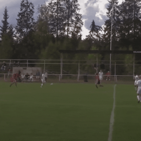 Mackaneflygplan GIF