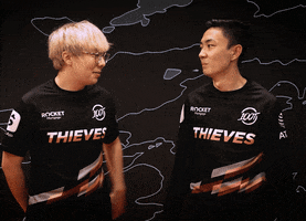 Video Games Team GIF by 100 Thieves