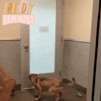 Heres-a-reminder GIFs - Get the best GIF on GIPHY