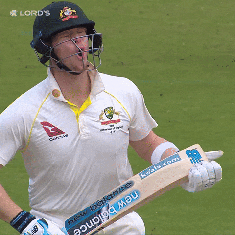 Steve Smith Pain GIF by Lord's Cricket Ground