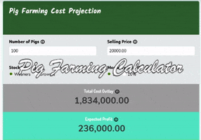 Startup Cost For Business GIF