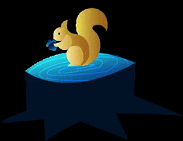 Trento Film Festival GIF