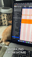 Work From Home Cat GIF by MadeByShape
