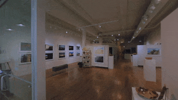 Art Gallery GIF by Switzerfilm