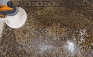 Carpet Cleaning Cranbury Nj GIF