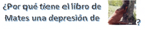Acertijo GIF