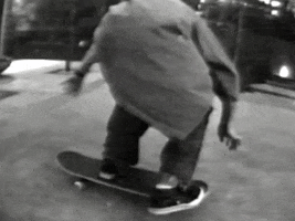 Black And White Skate GIF by Beastie Boys