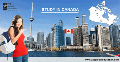 Study GIF