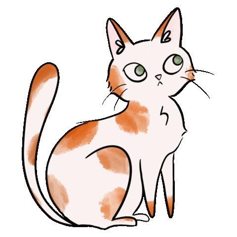 Cat Sticker