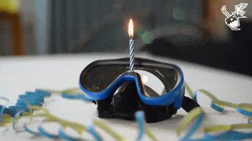 Celebration GIF