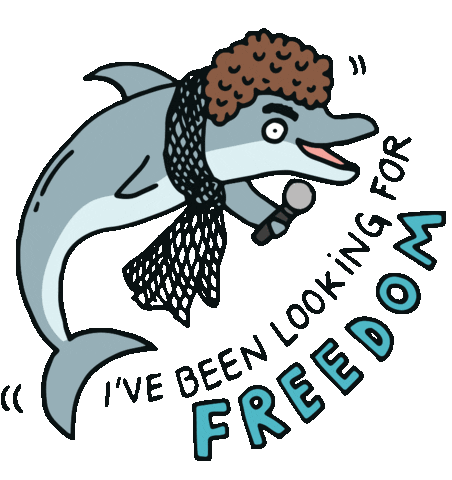 Freedom Dolphin Sticker by Bracenet