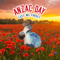 Lest We Forget Anzac GIF by Dodo Australia
