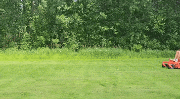 Ariens GIF