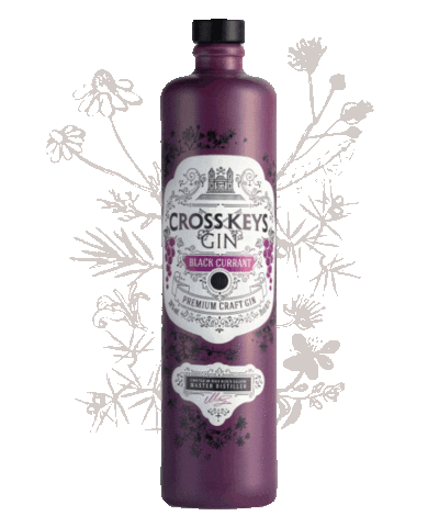 Party Drinking Sticker by CrossKeysGin