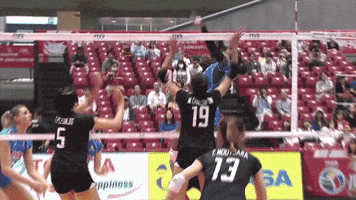Point Italy GIF by Volleyball World