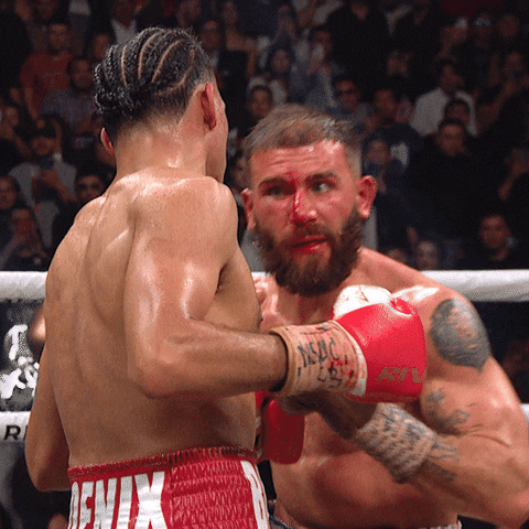 Fight Punch GIF by Premier Boxing Champions