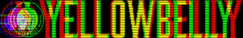 Yellowbelly Beer GIF
