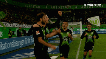 Soccer Goal GIF by VfL Wolfsburg
