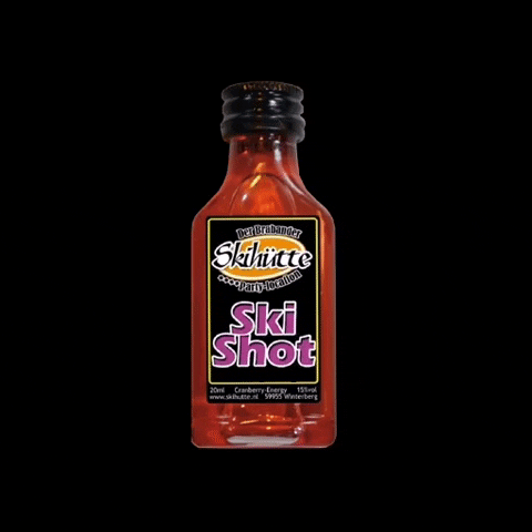 Der Brabander Skihutte GIF