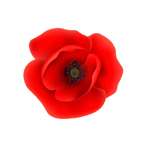 Bashkia Tirane Sticker