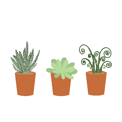 Plant Sticker