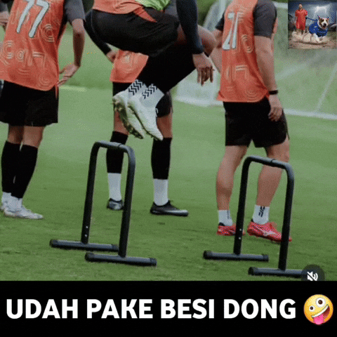 Pipa Persija GIF