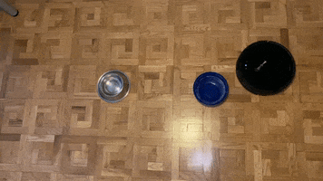 Vacuum GIF