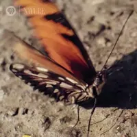 https://media3.giphy.com/media/TfcZJucuajzjj90Fhy/200w.webp?cid=ecf05e47lj3undpijrns0zz3795scp2d2dvzgf50pj6xe7zl&rid=200w.webp&ct=g