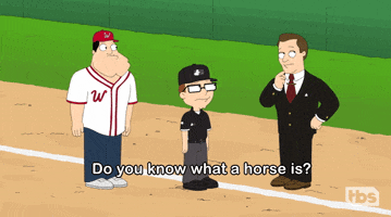 Tbs Network Horse GIF by American Dad