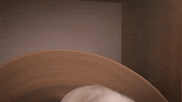 200.gif?cid=f0bdee70xvu9tf26t4eksl69xhno6m2kwg2w8uj1bh9re12c&rid=200.gif&ct=g