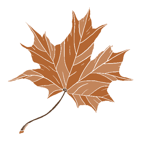 Fall Sticker