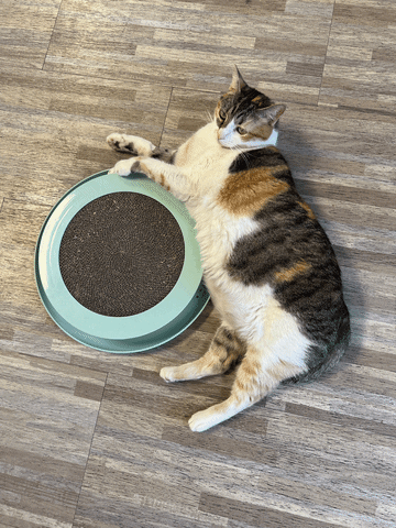 Hearts Alive Village GIF