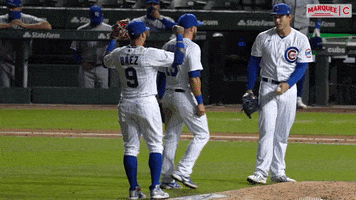 Chicago Cubs Fist Pump GIF by Marquee Sports Network