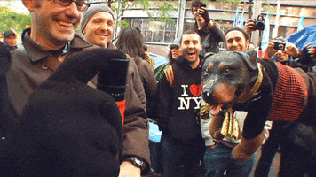 triumph the insult comic dog pepper spray GIF by Team Coco