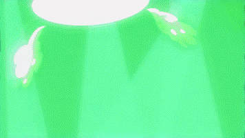 Tripping Live Music GIF by Cartuna