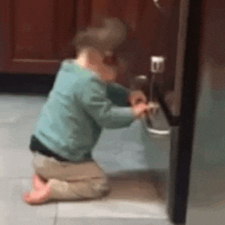 giphy.gif