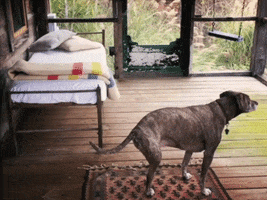 merge records dog GIF by H.C. McEntire