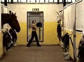 Shake It Dancing GIF by sam gurry