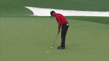Tiger Woods Sport GIF