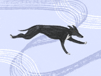 dog running animation gif