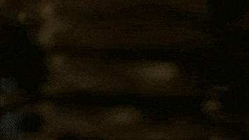 Ivan Stur GIF