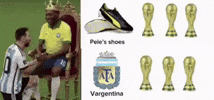 Brazil World Cup GIF
